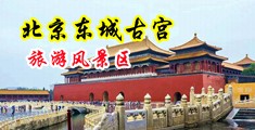 阿姨老是把我的小鸡鸡放到她的洞里中国北京-东城古宫旅游风景区